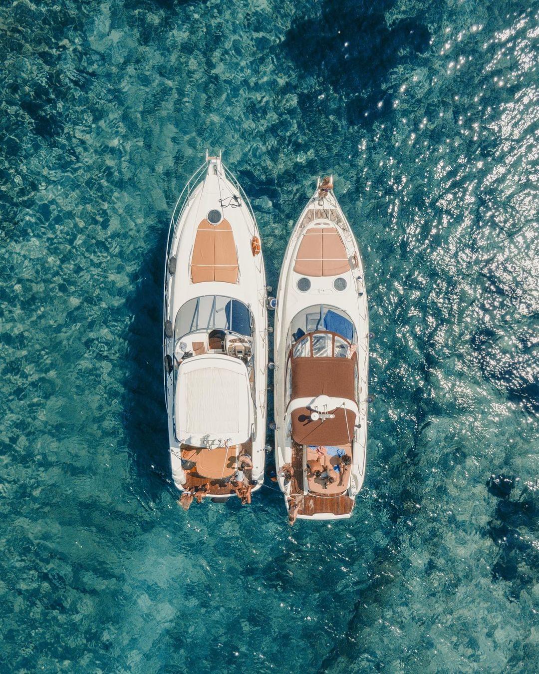 sea roaming